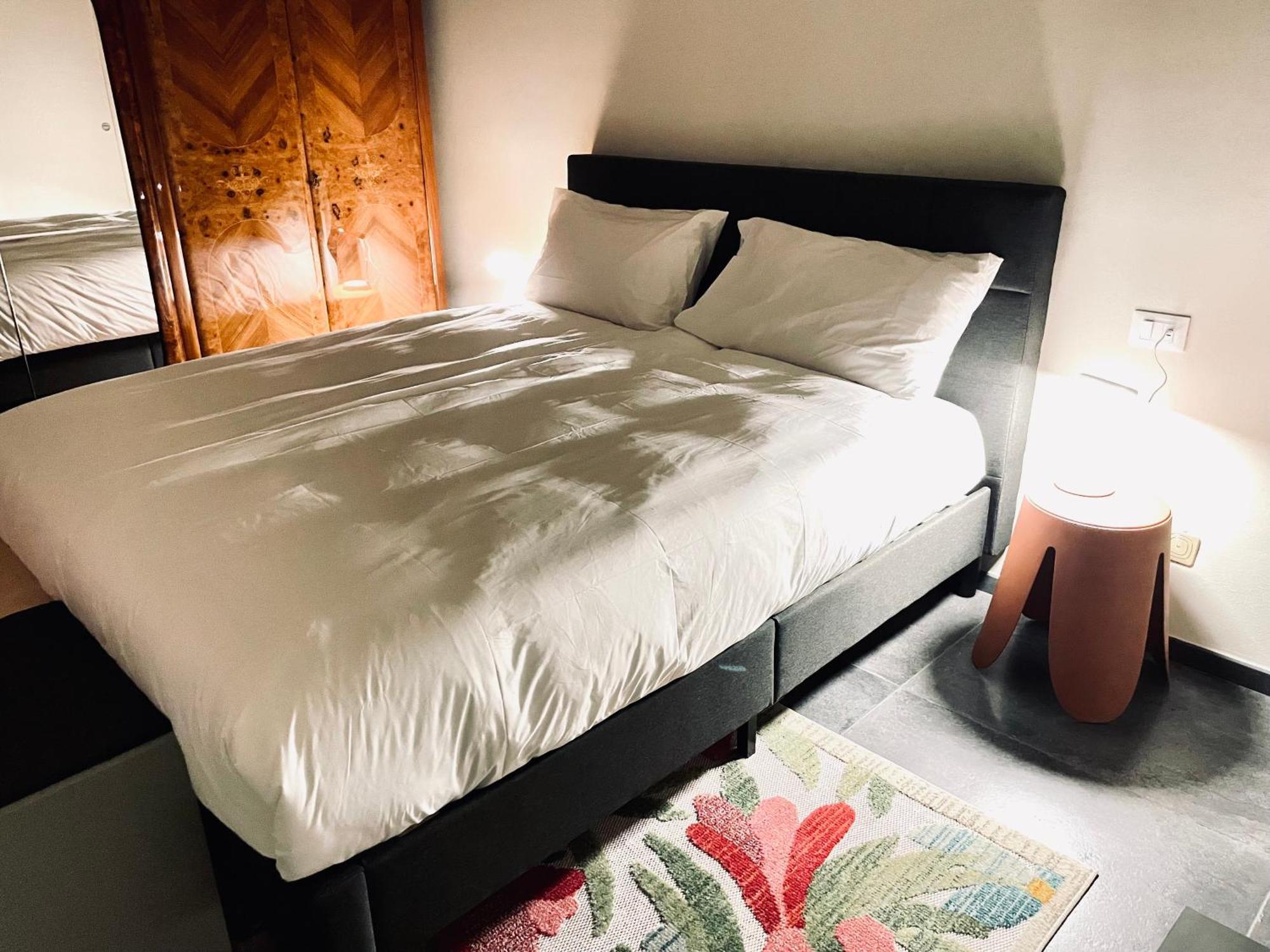 33 Borgo Ticino Lux Free Parking & Private Garden Lejlighed Pavia Eksteriør billede